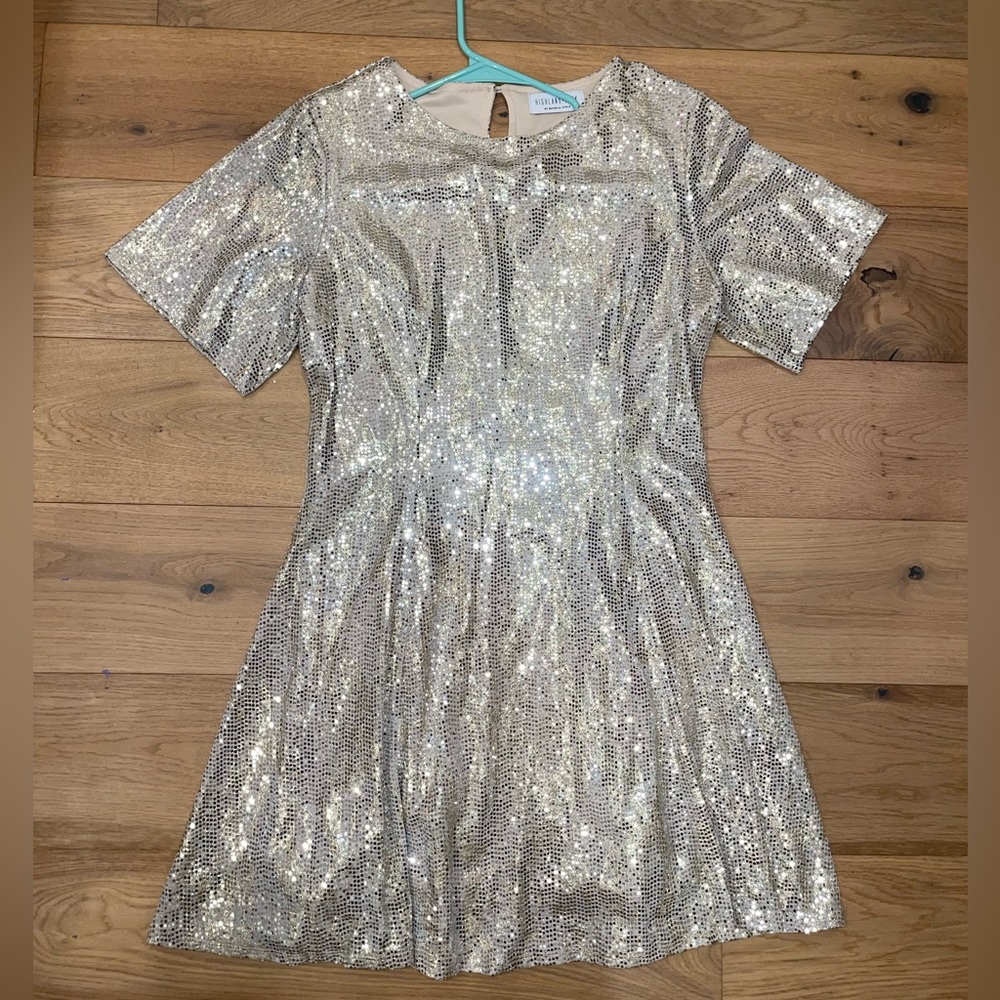 Silver and Gold sequin dress